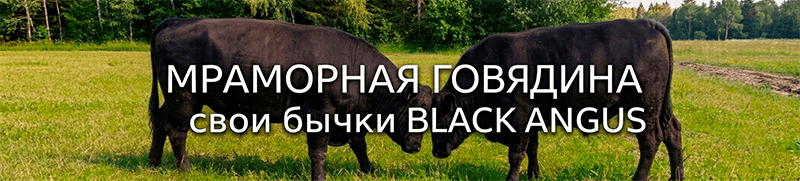 Мраморная говядина Black Angus banner_1_min.png